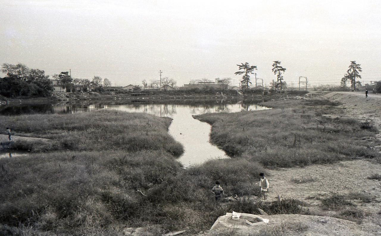 昭和41（1966）年芦田ヶ池.png