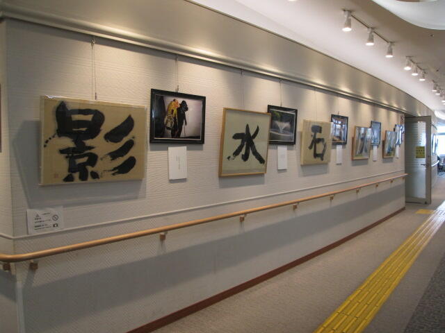 蛍池図書館での展示の様子