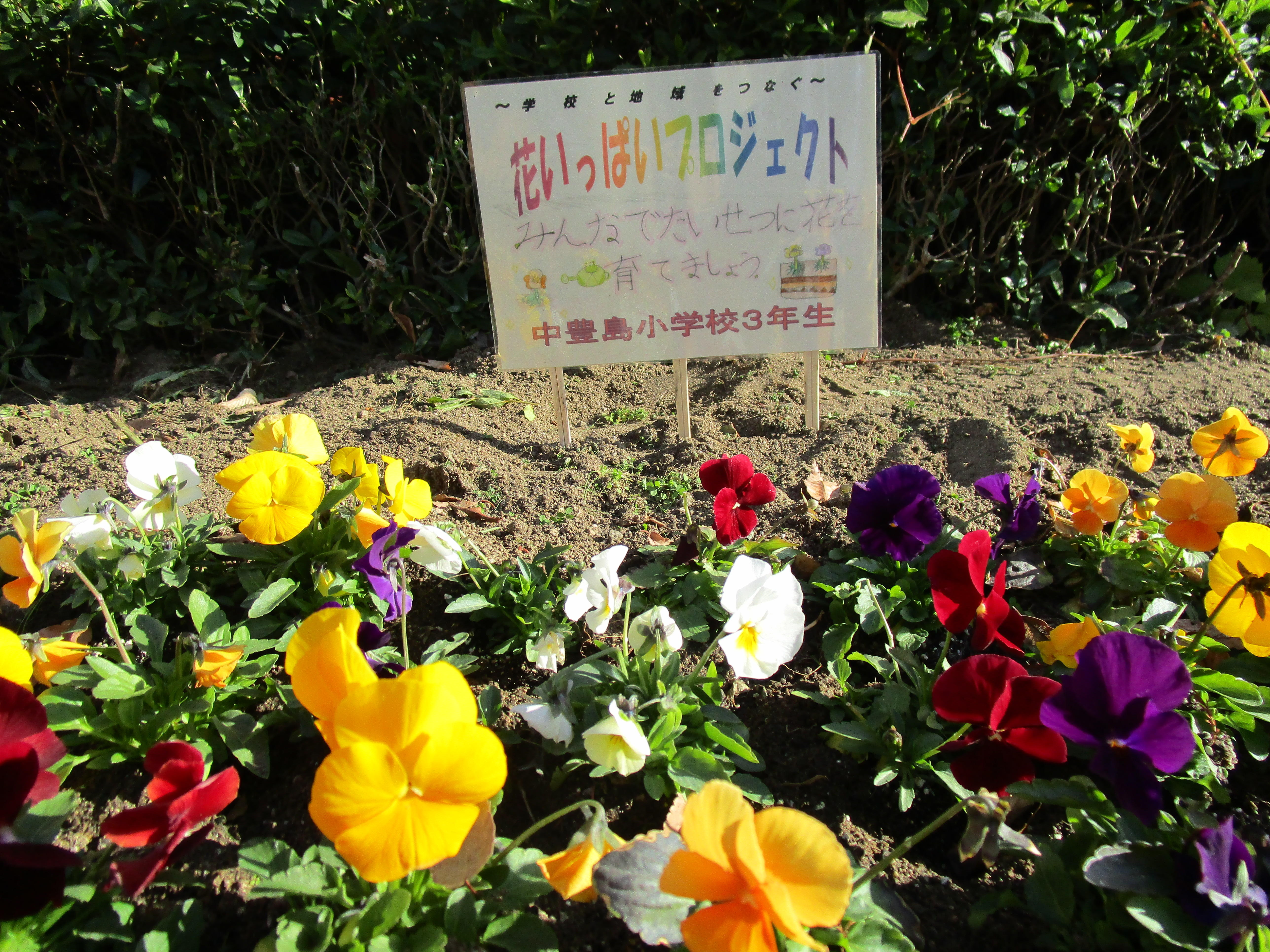 こんなことがあったよ