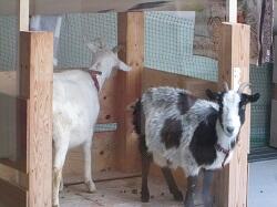 こんなことがあったよ