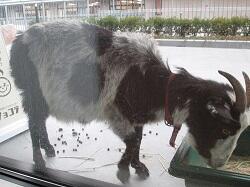 こんなことがあったよ