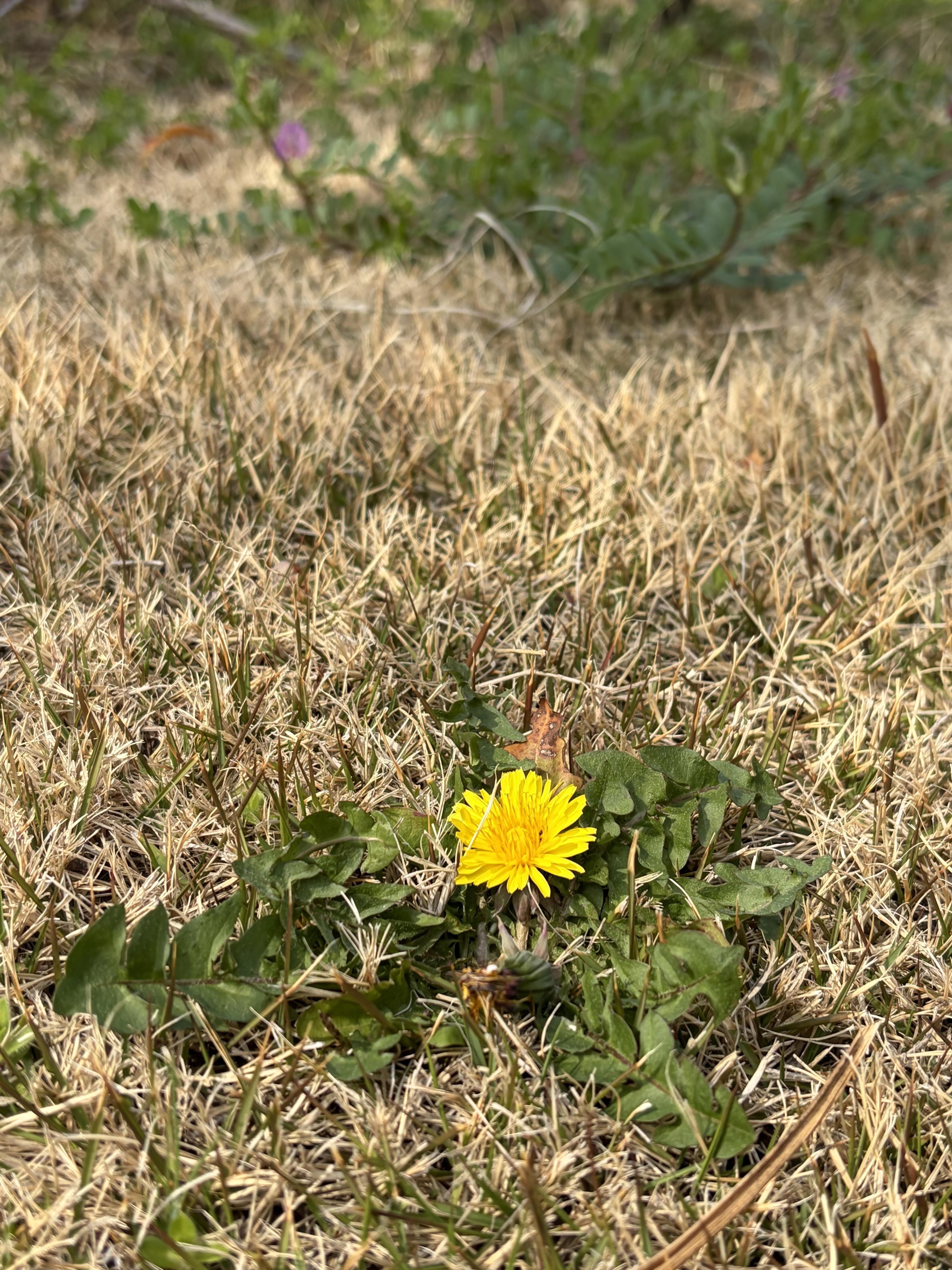 こんなことがあったよ