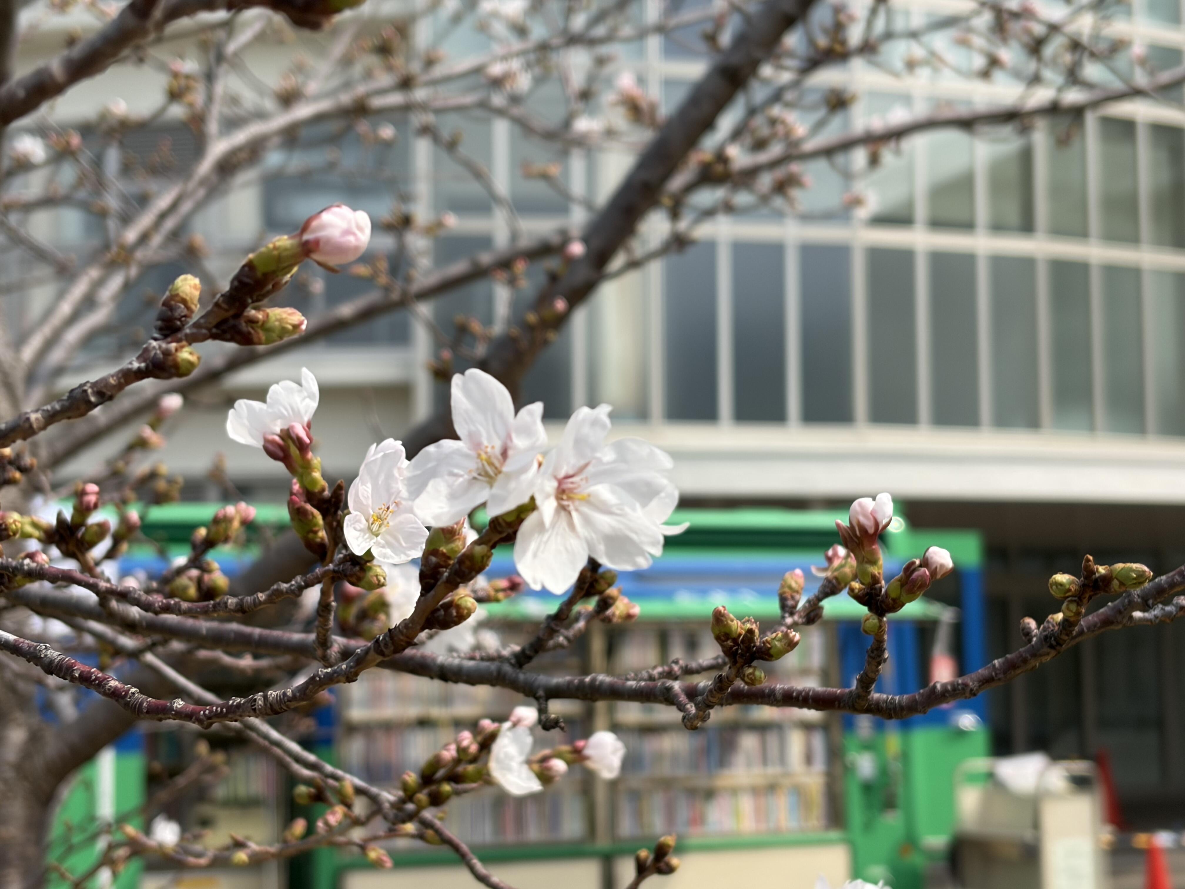 こんなことがあったよ